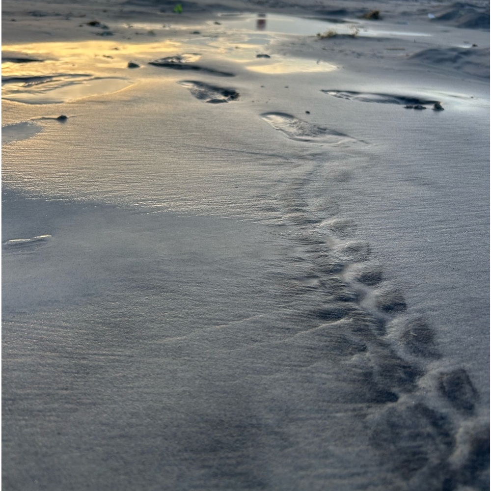 Meet your Posher, Peightan